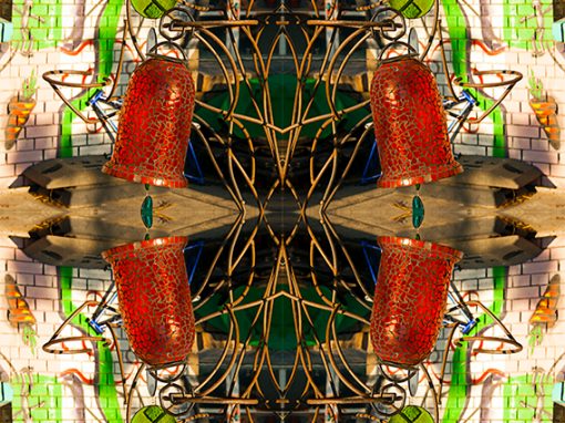Designphotoart - Anarchy-garden