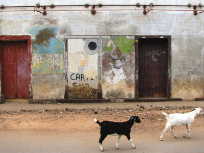 Designphotoart - India