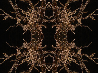 Designphotoart - Tivoli-tree