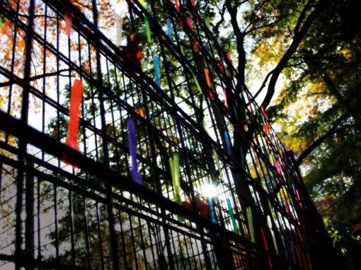Designphotoart - The street catheral